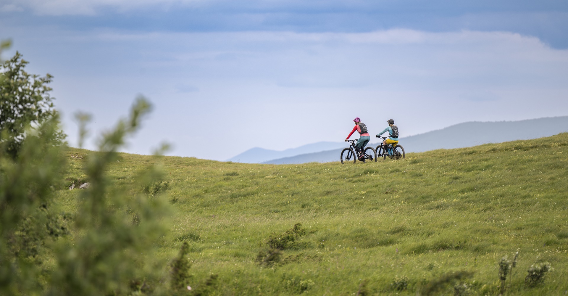 Radl Richi - Richard Kohlbauer